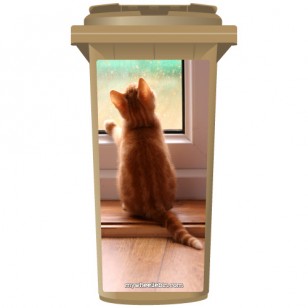 Kitten Looking Through A Rainy Window Wheelie Bin Sticker Panel